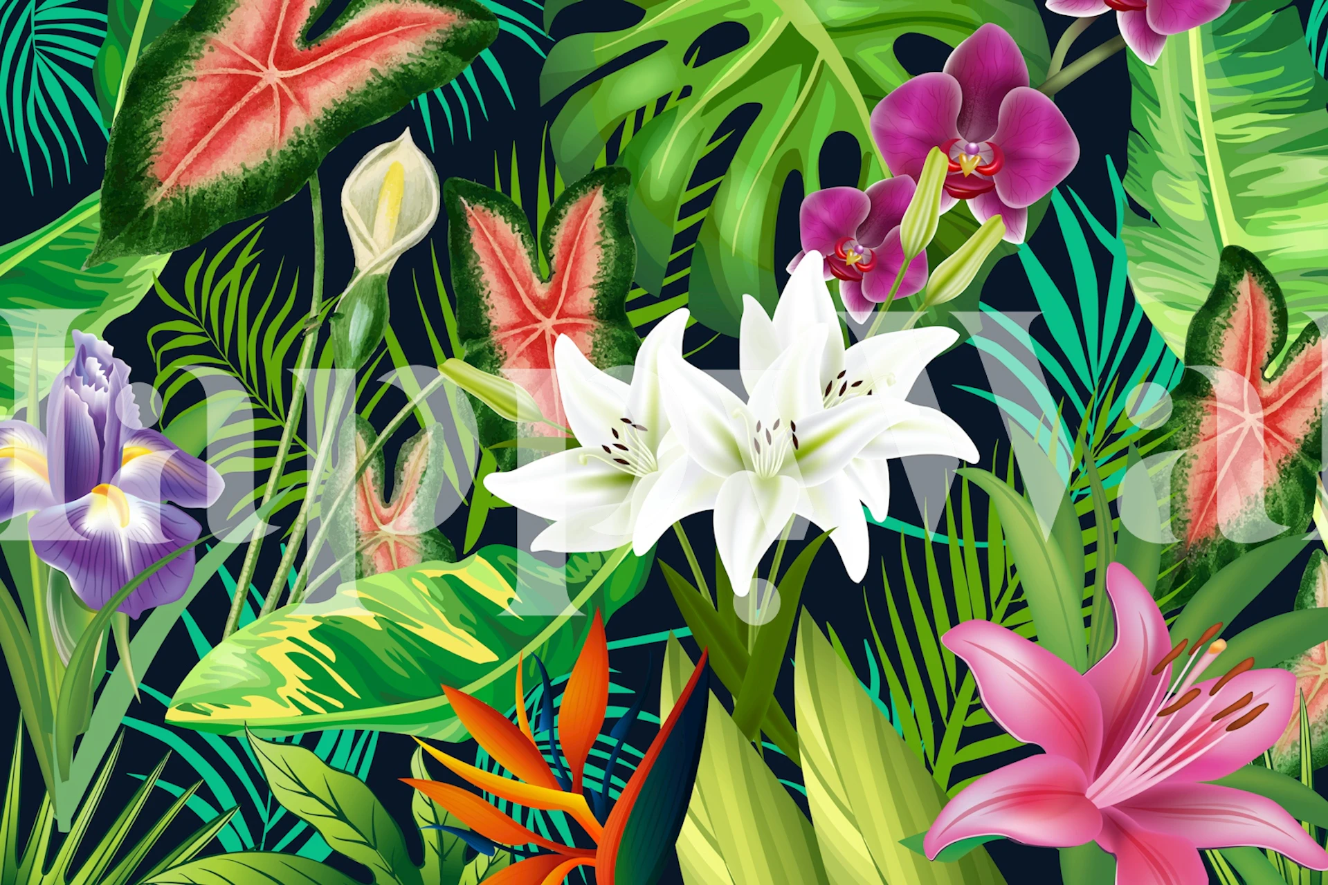 Tropical Lush Sanctuary tapet i et rum