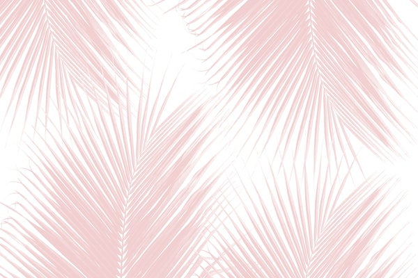 Blush Palm Leaves Finesse 1