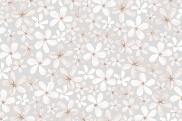 Frangipani Flower Dream 1