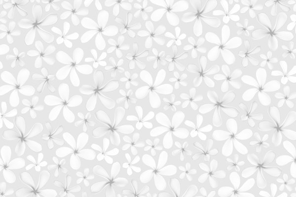 Frangipani Flower Dream 2