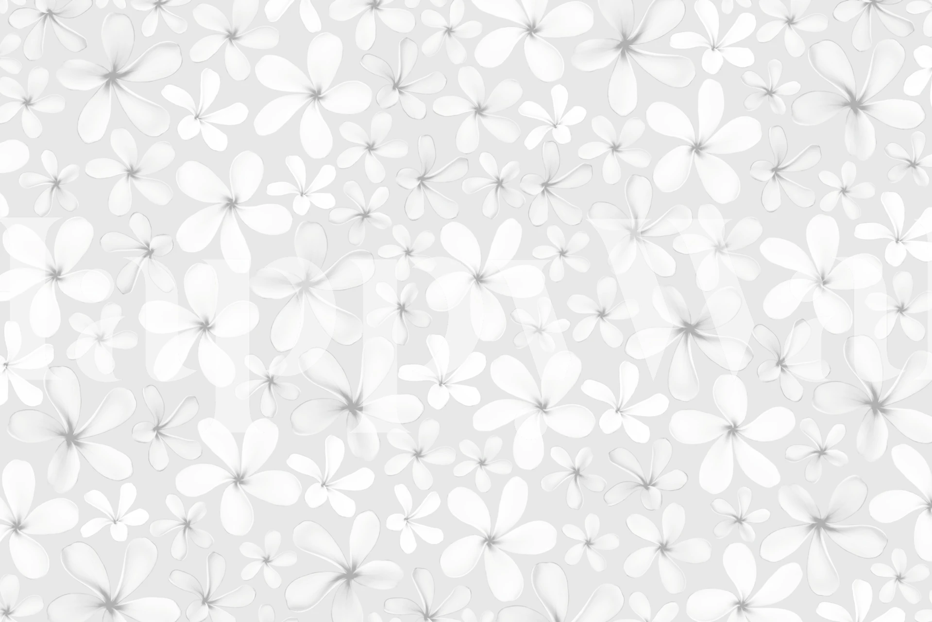White floral pattern on light gray background wallpaper