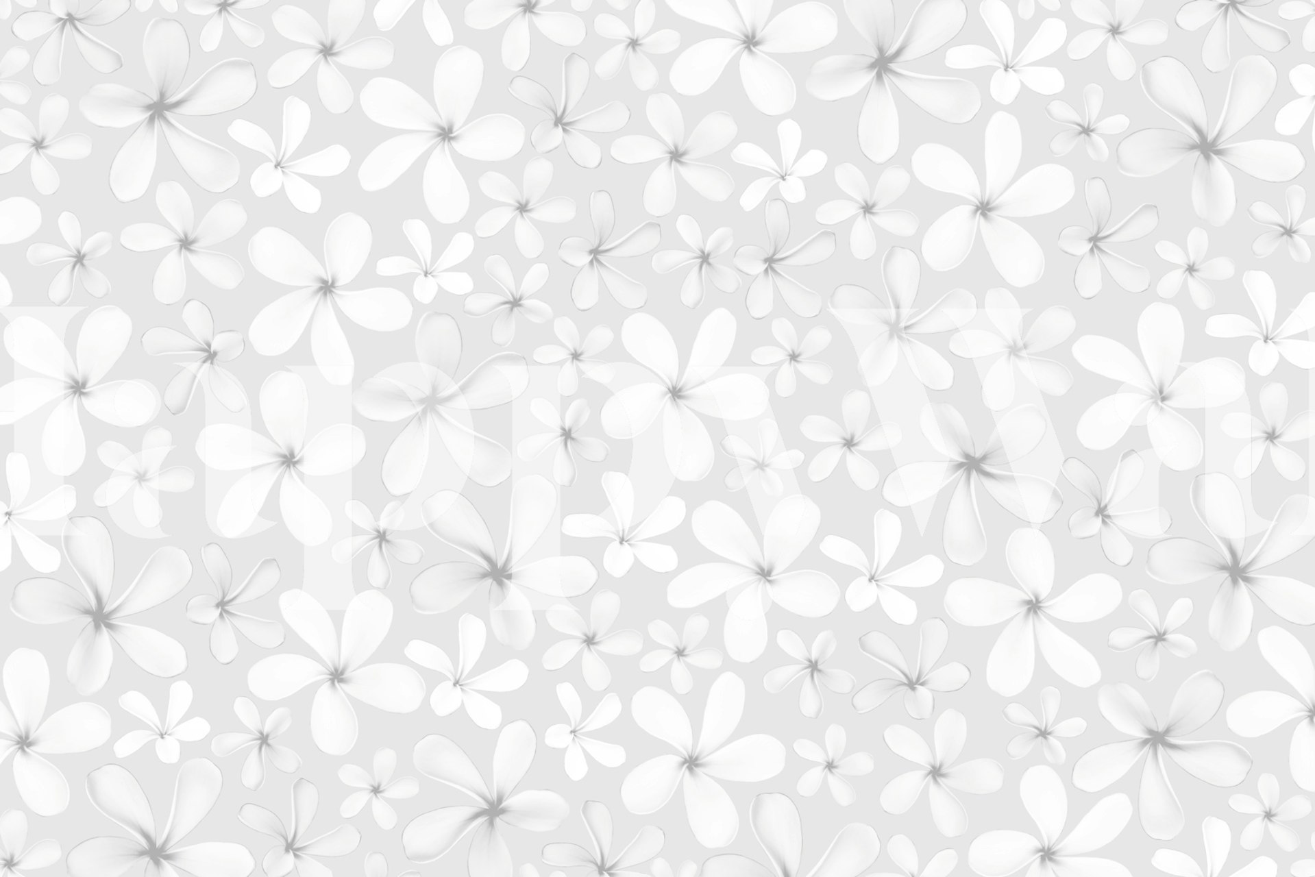 White floral pattern on light gray background wallpaper