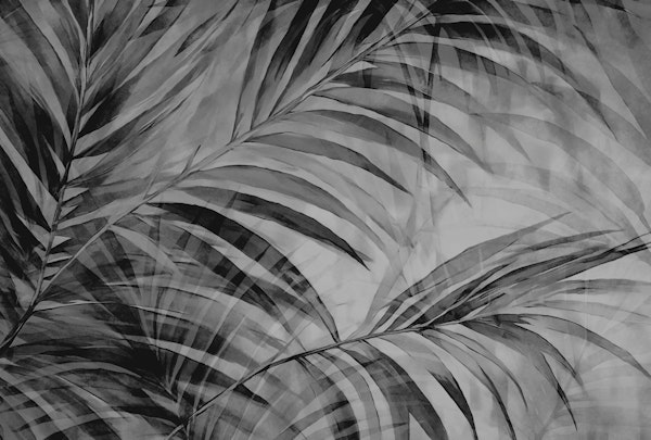 Midnight Palm Cove Moody Grey