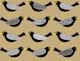 Blackbirds pattern 1 beige