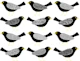 Blackbirds pattern 2 white background