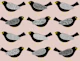 Blackbirds pattern 6 peach blush
