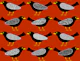 Blackbirds pattern 7 red rust