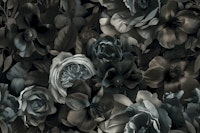 Midnight Garden Moody Baroque Opulence Grey tapet