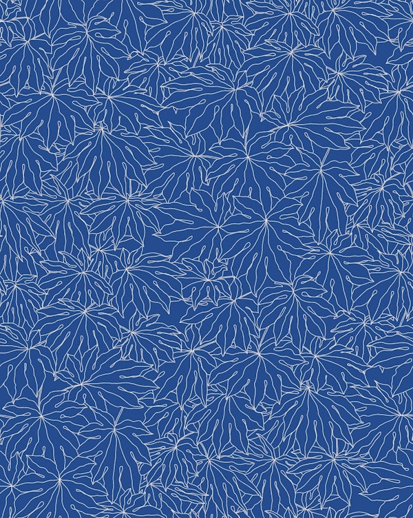 Fatsia Japonica IV