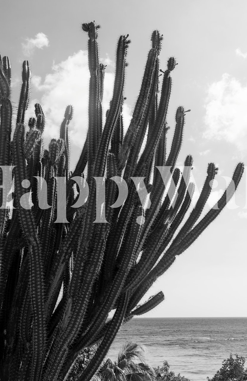 Tall black and white cactus silhouette against the ocean wallpaper
