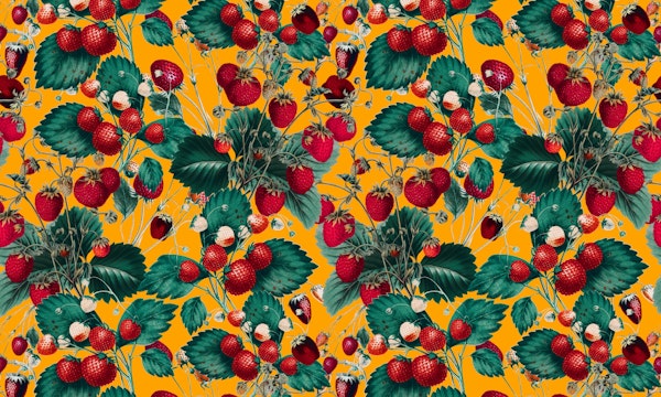 Strawberry Fields Forever IV