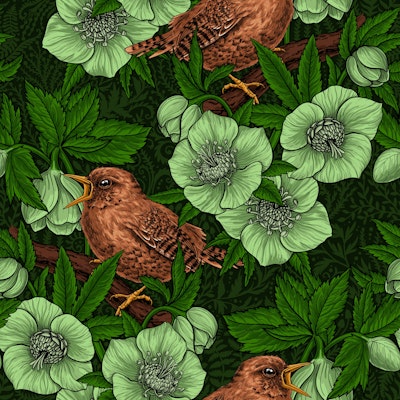 Pattern