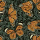 Monarch Madness