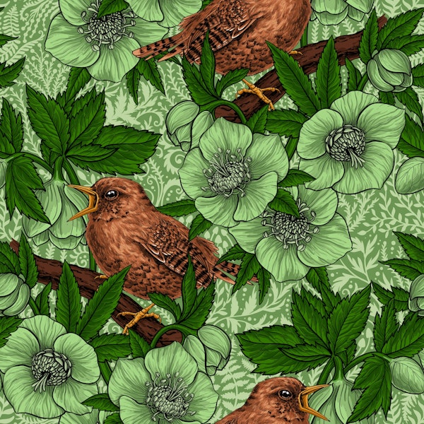 Wren and hellebore, light green