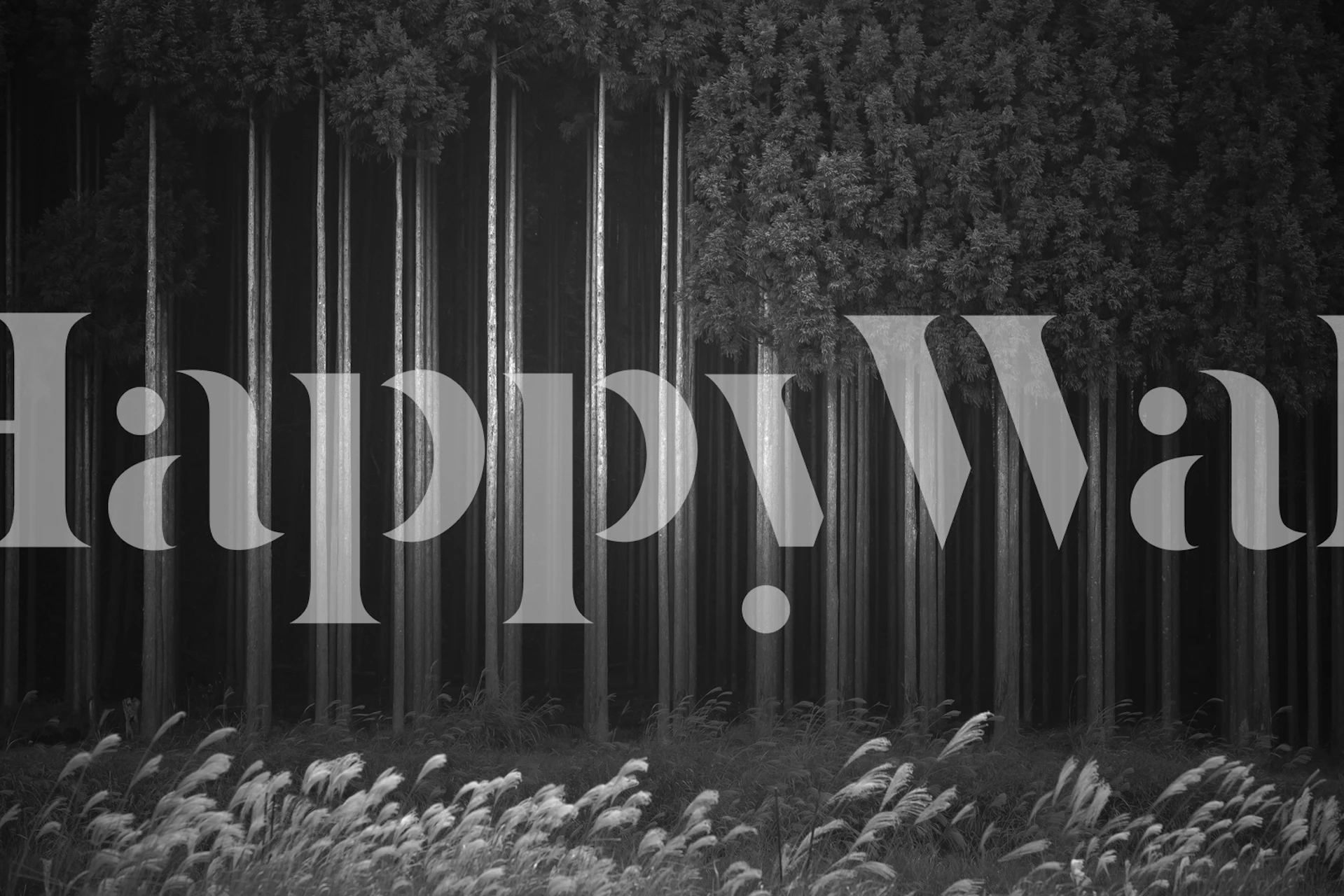 Afforestation tapeta s vysokými stromy