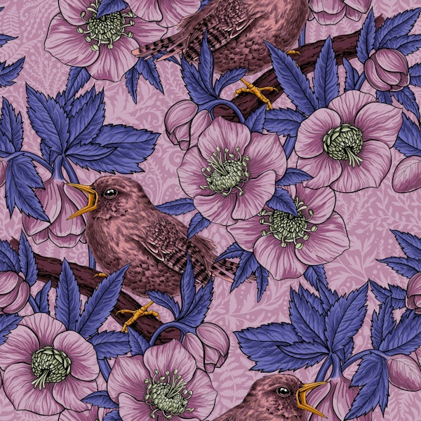 Wren and hellebore, pink and violet