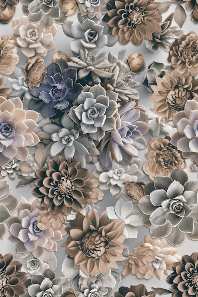 Pattern