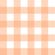 Peach Fuzz Gingham