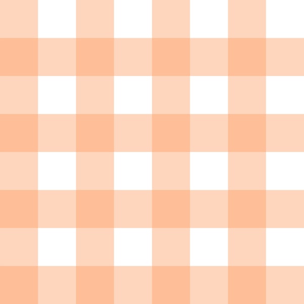 Peach Fuzz Gingham