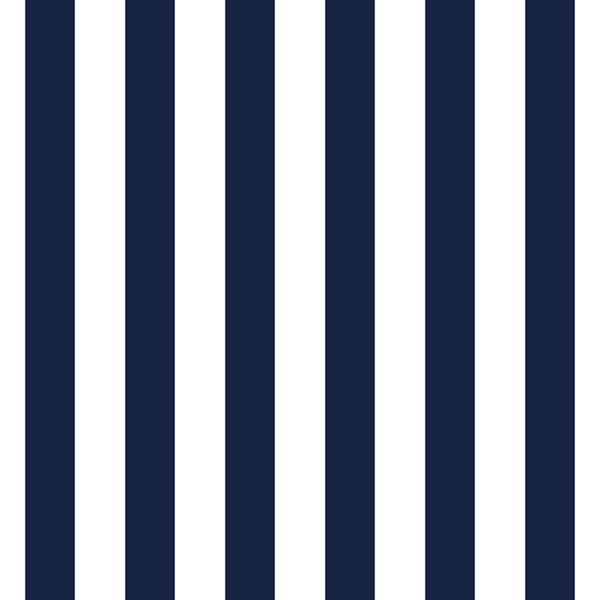 Vintage Navy and White Stripes 3