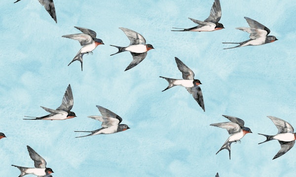 Scattered Swallows in a Blue Sky
