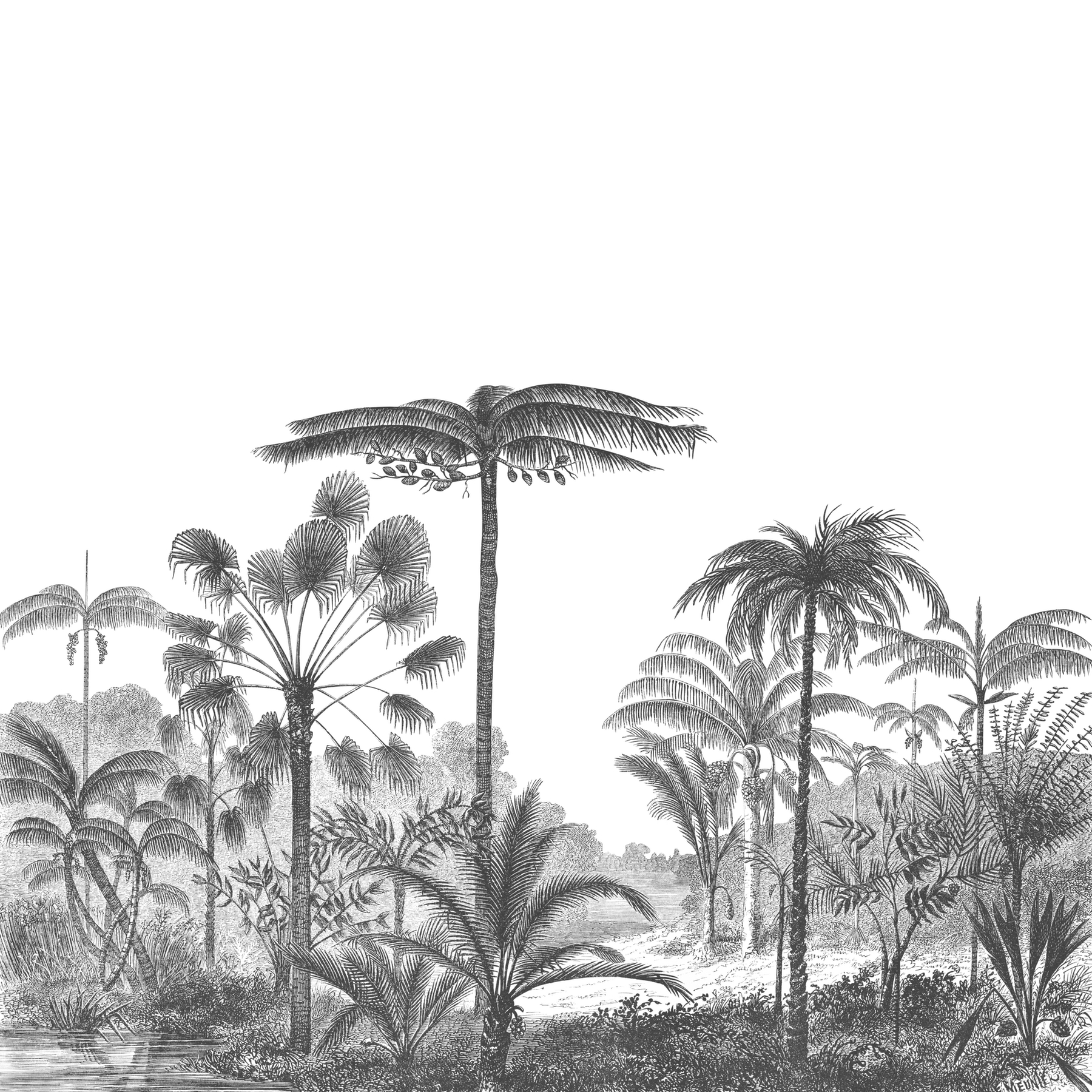 Иллюстрация к балладе три пальмы