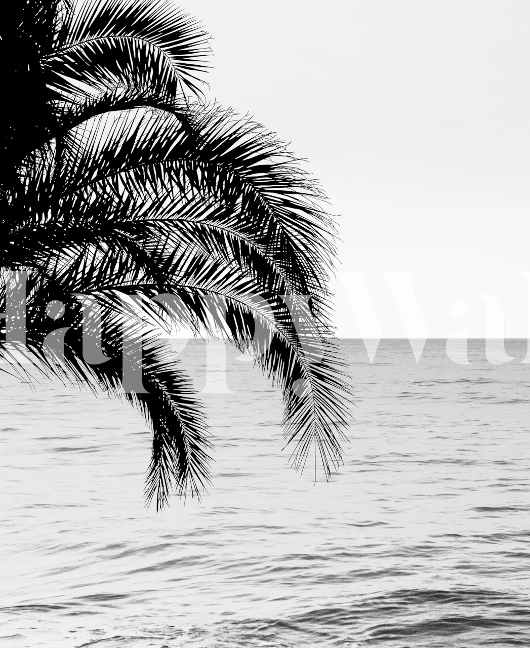 Palm ja ocean tapetti huoneessa