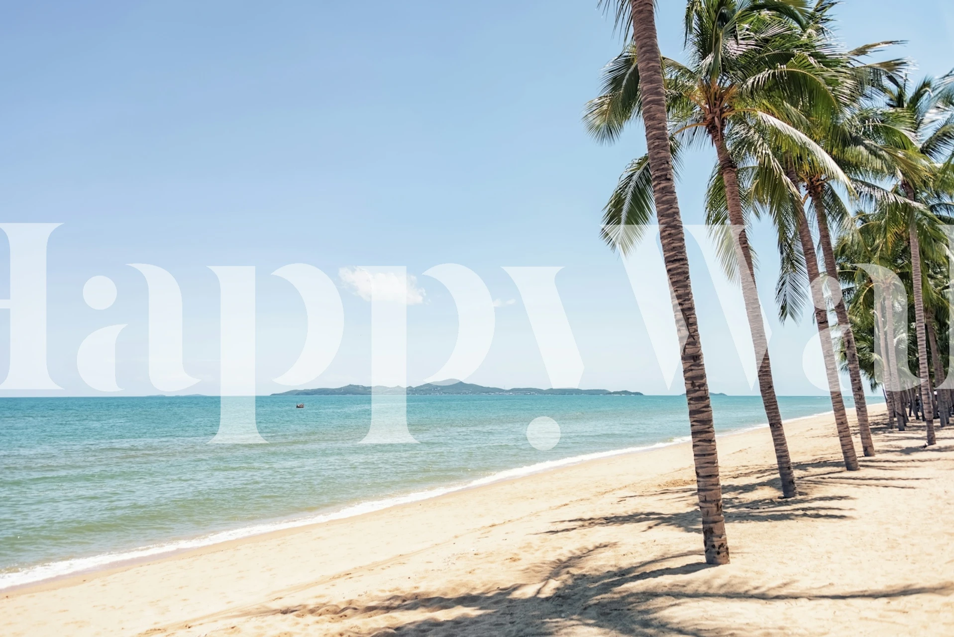 Jomtien wallpaper showcasing beach and palm trees