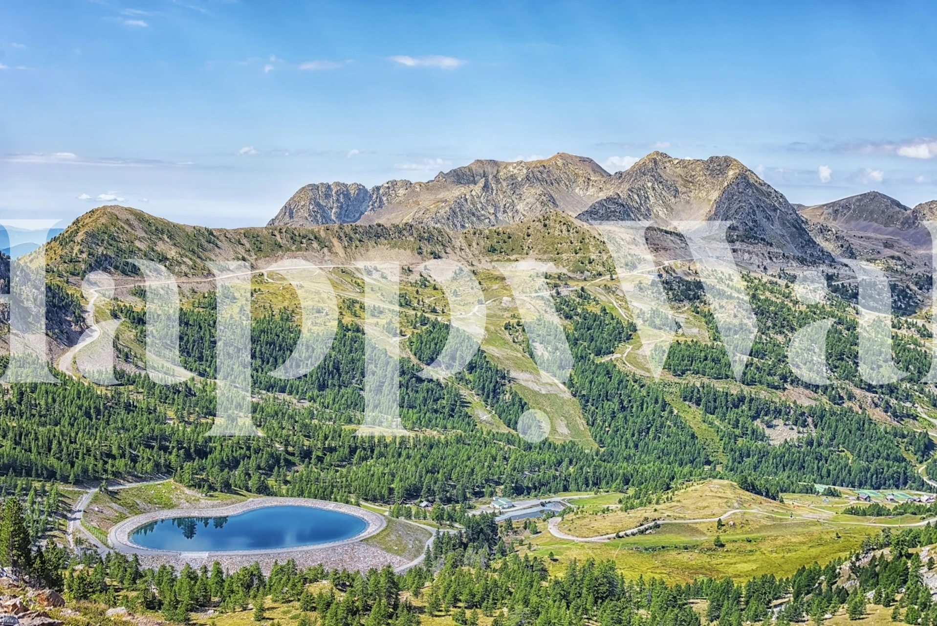 Isola wallpaper design in a room