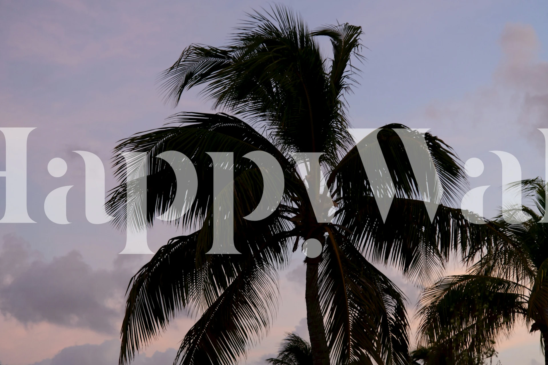 Papel tapiz Sunset Palm Tree Dream en una habitación