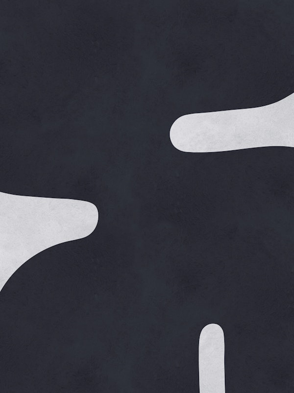 Black and white shapes 5