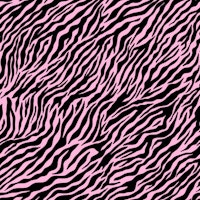 Wallpaper Zebra 7 papiers peint