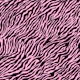 Wallpaper Zebra 7