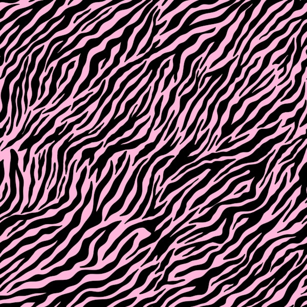 Wallpaper Zebra 7