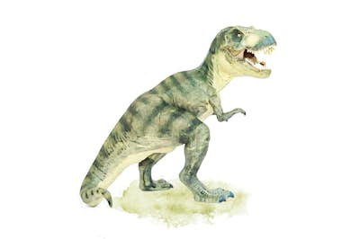 Τοιχογραφία