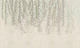 Beige Forest Leaves