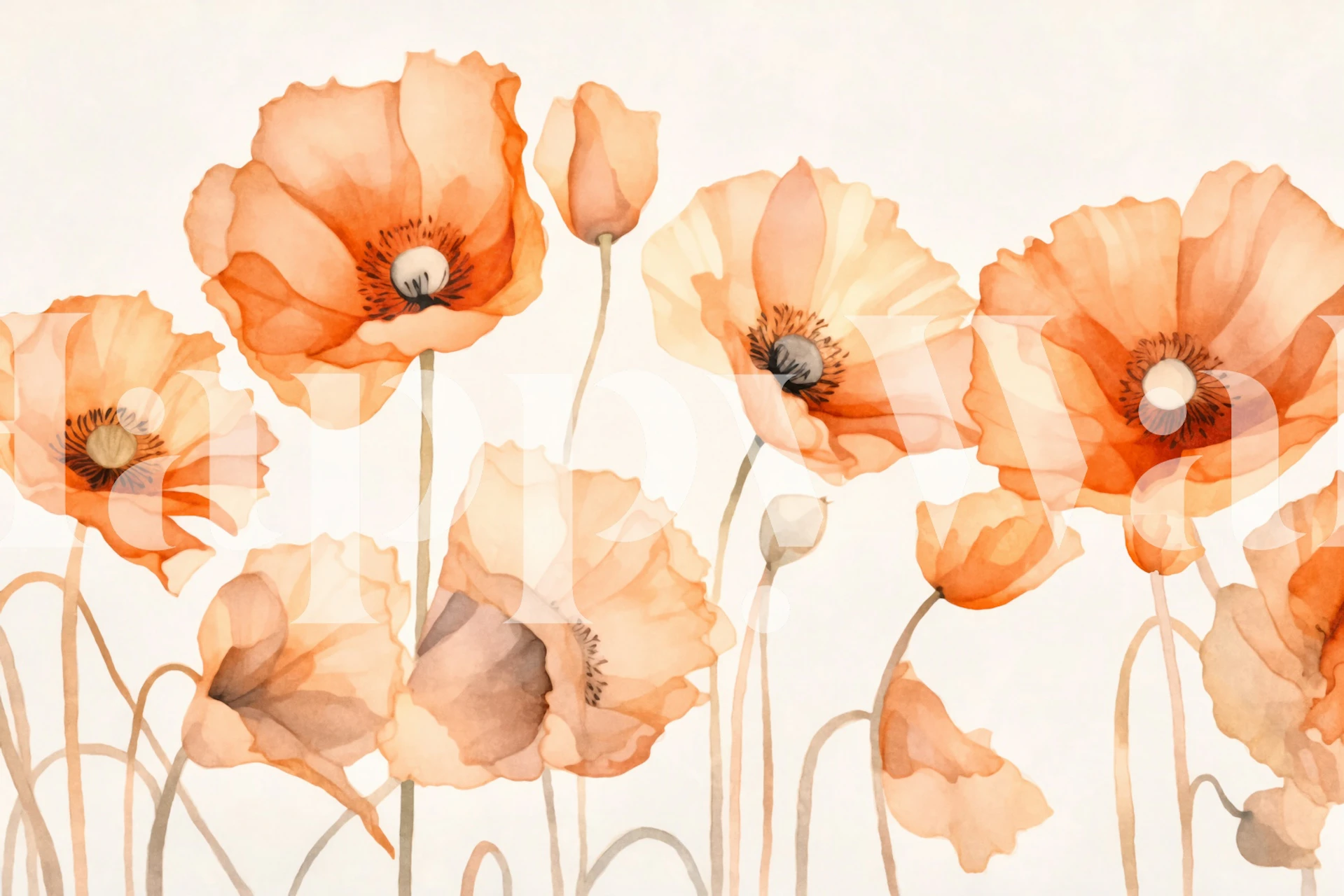 Peach Poppy Wildflower wallpaper in a room