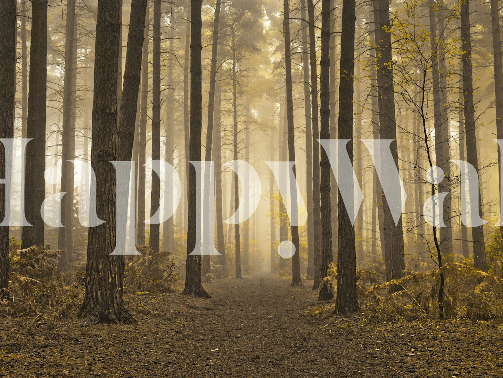 Tapeta Mystical Forest Realm u sobi