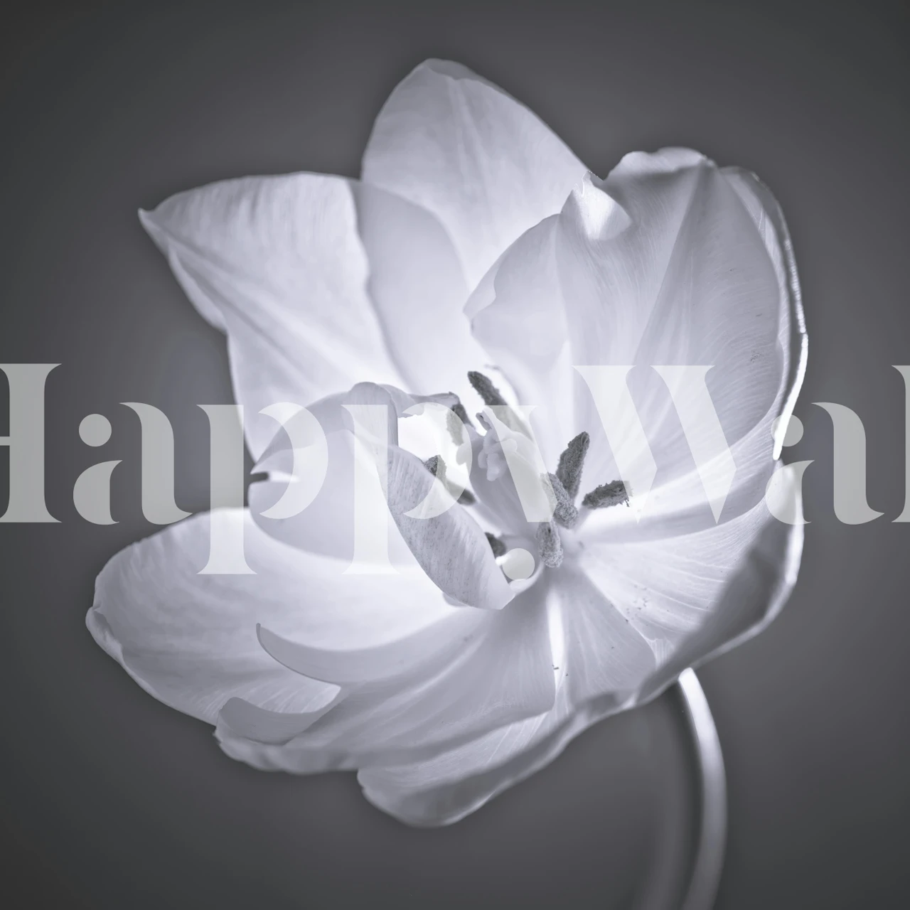 Carta da parati Graceful Petals in una stanza