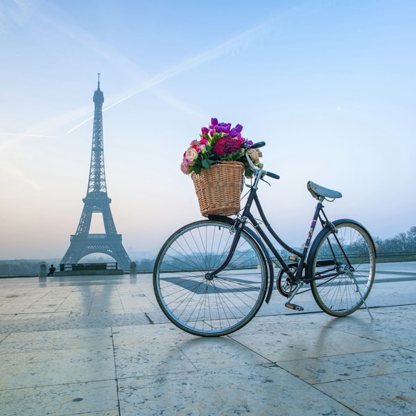 Floral Paris Ride