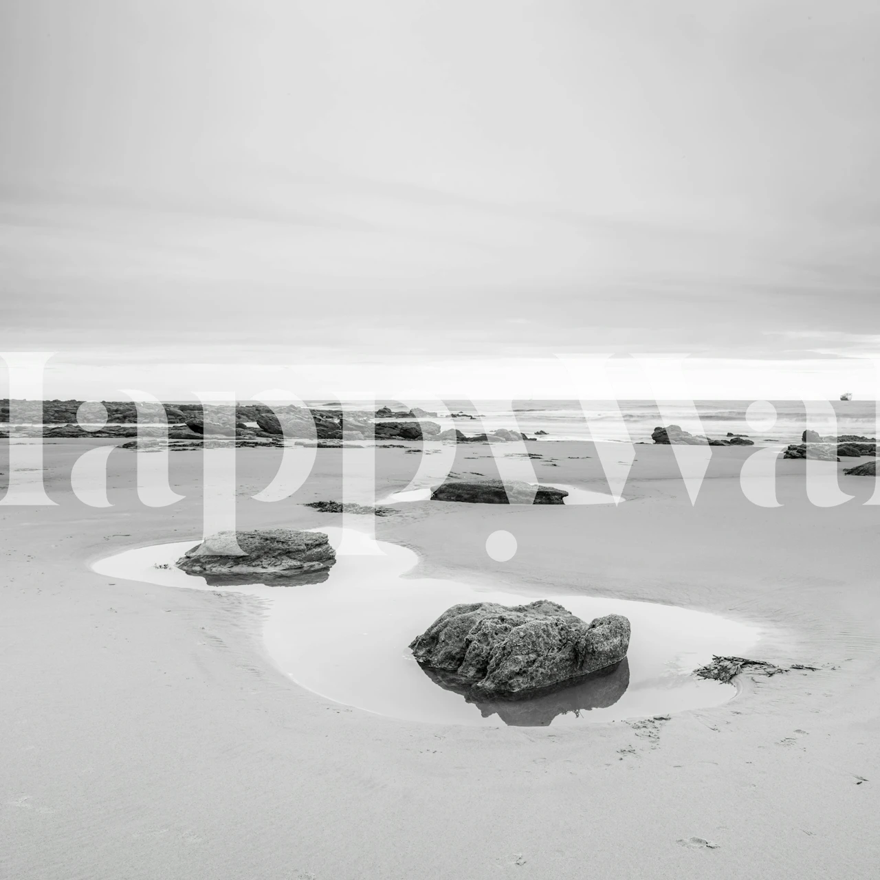 Black and white rocky beach tide pools wallpaper