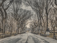 Escape to Nature tapete