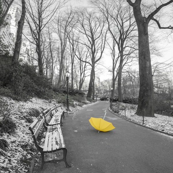 Yellow Umbrella in Central Park