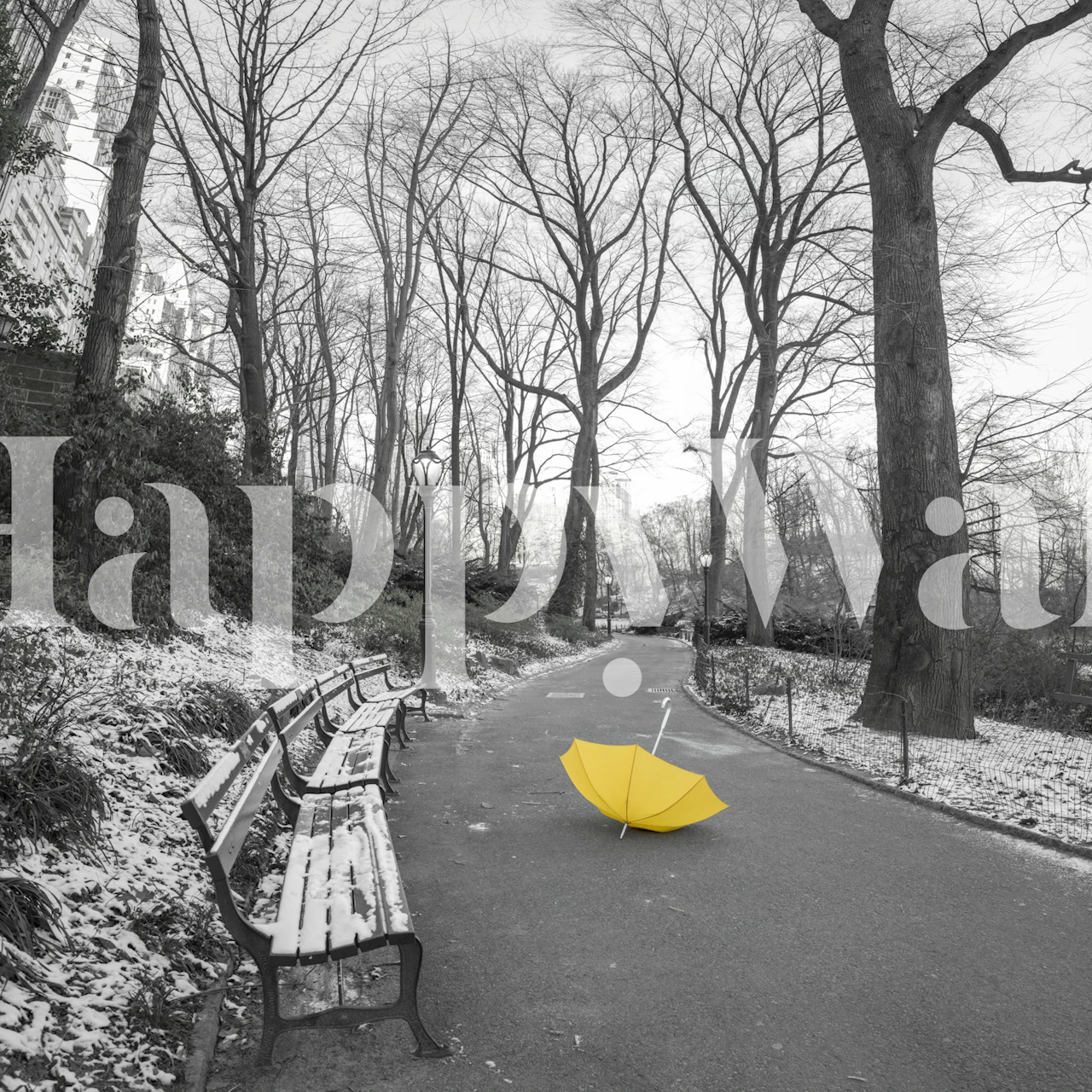 Gul paraply i et monokromt parkmiljø