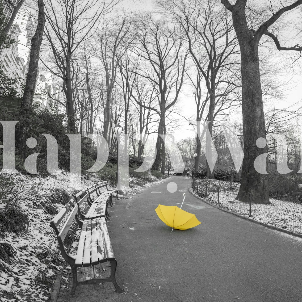 Gul paraply i et monokromt parkmiljø