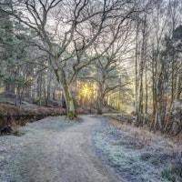 Countryside Charm ταπετσαρία