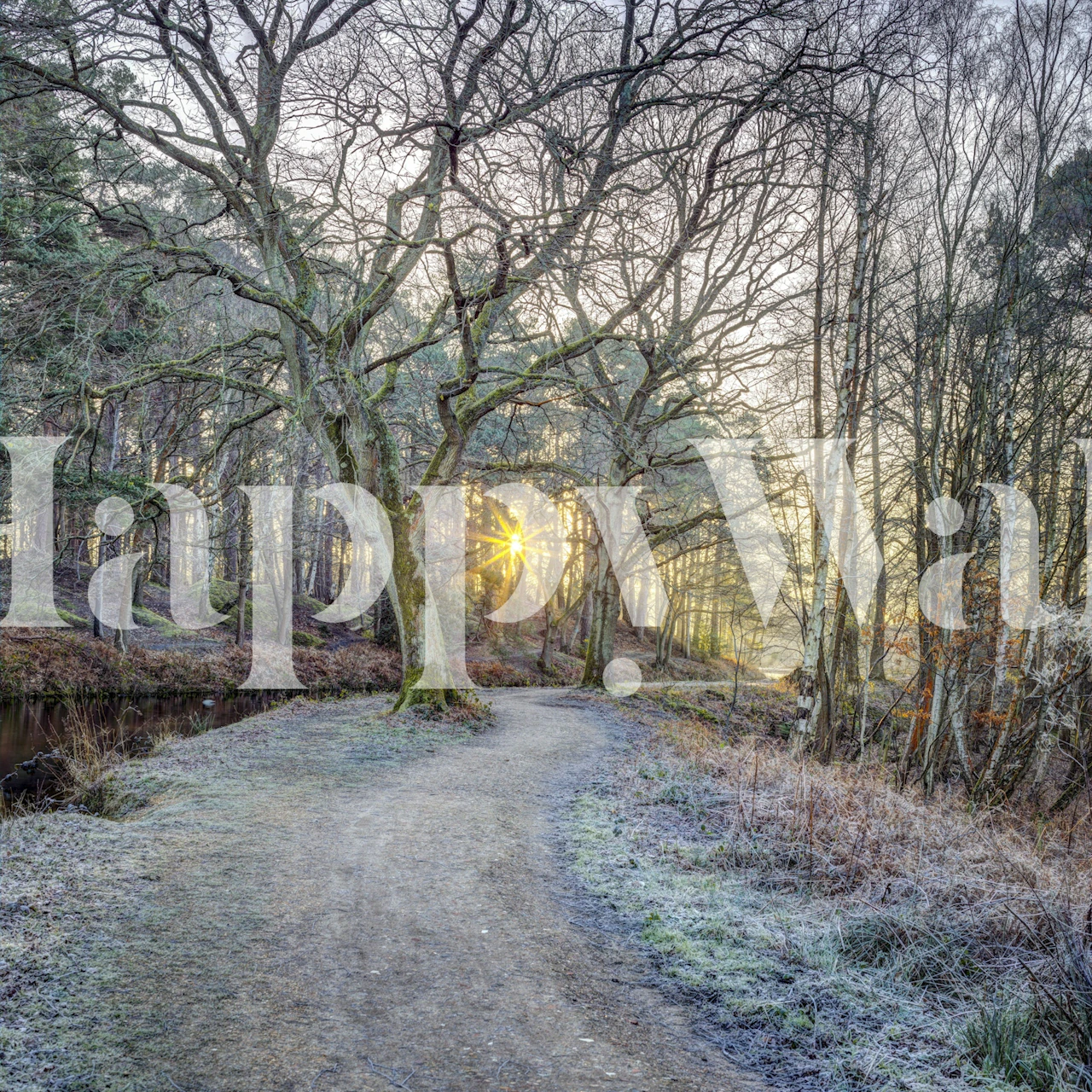 Countryside Charm wallpaper in a room