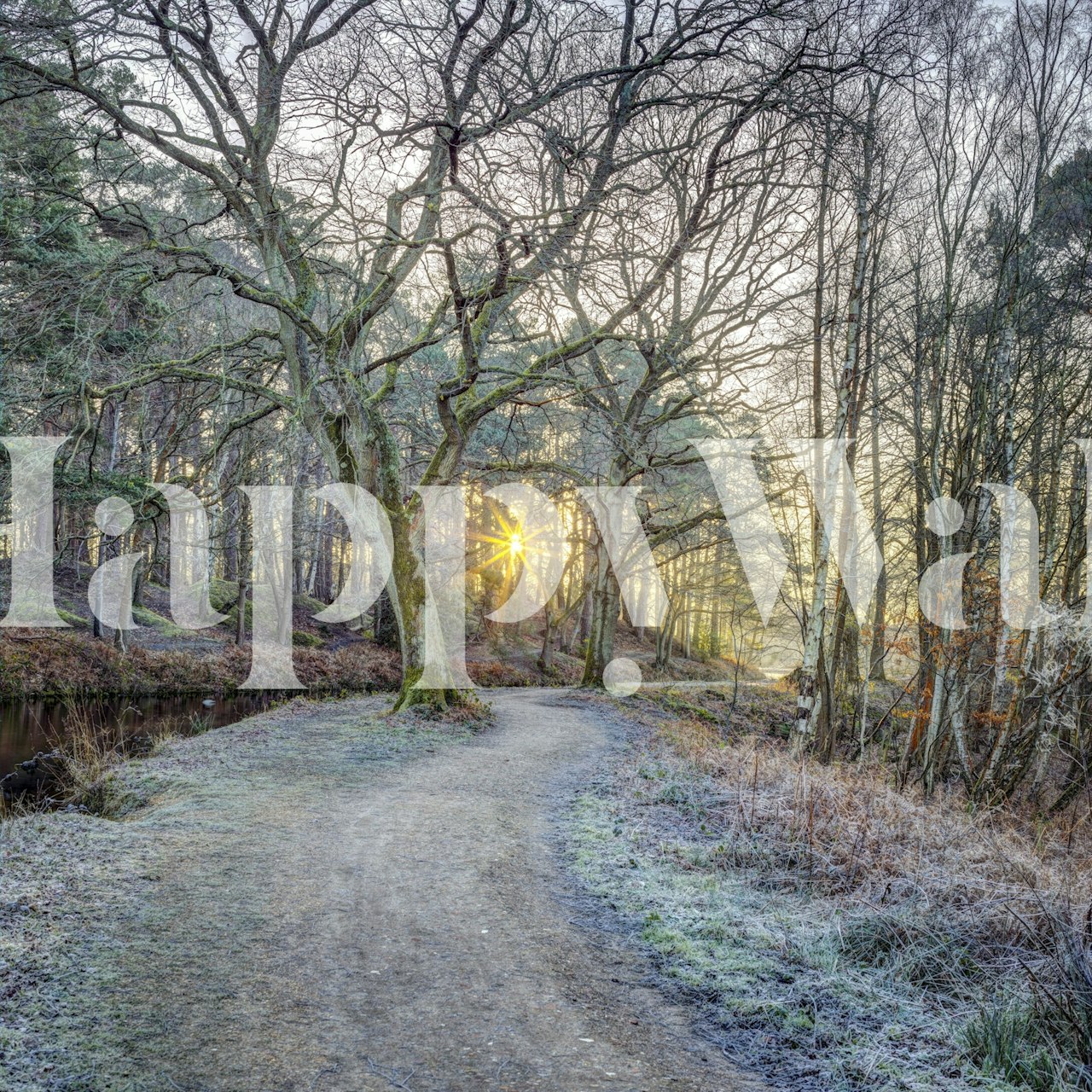 Countryside Charm wallpaper in a room