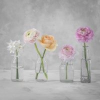 Bottled Blooms wallpaper