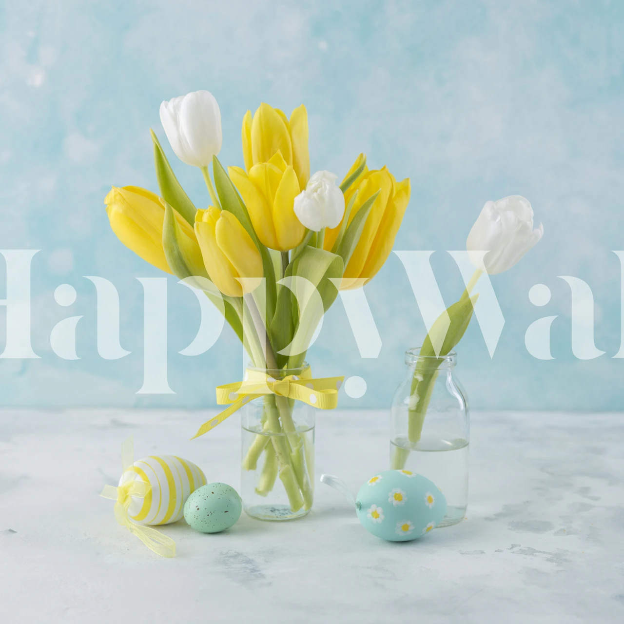 Yellow and white tulip flowers with a blue background wallpaper